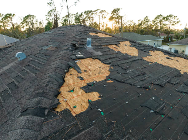 Best Solar Panel Roofing Installation  in Sundance, WY